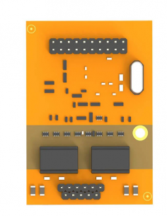 Yeastar - Module 2 ports BRI 2