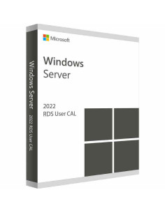 Remote Desktop Services Device 2022 CAL 2